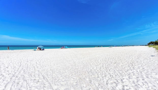 Servicios del alojamiento