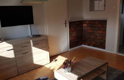 Seehund-Lilly - Foto 11