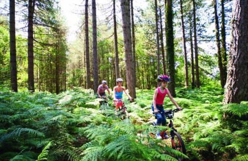 Forest View at Oakdene Forest Park - Leisure Passes Included! - Foto 23