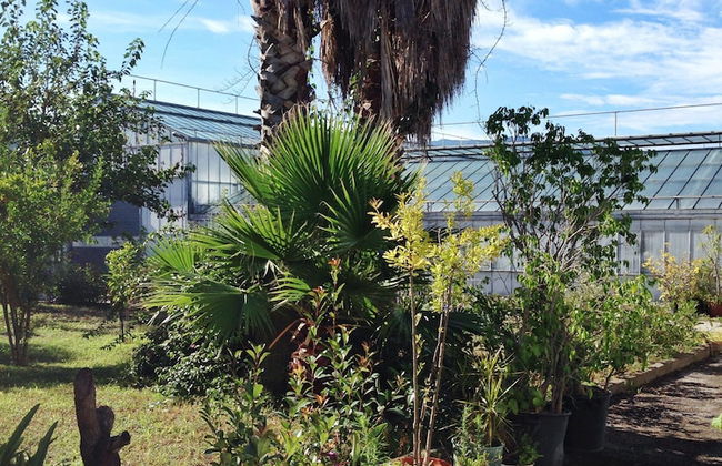 Apartment at the Foot of Mt. Vesuvius - Foto 71