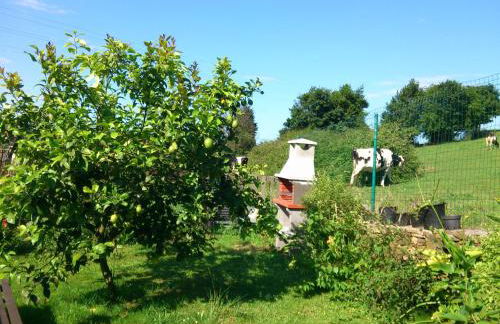 Fancornio Rural - Photo 14