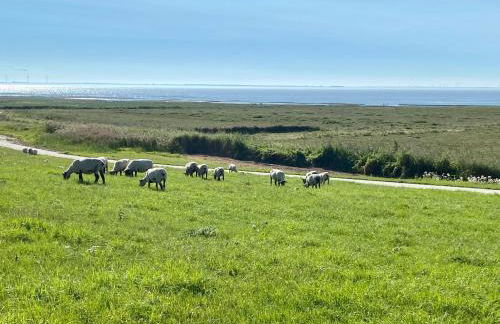 Haus MeerAuszeit - Erholung an der Nordsee - Foto 27