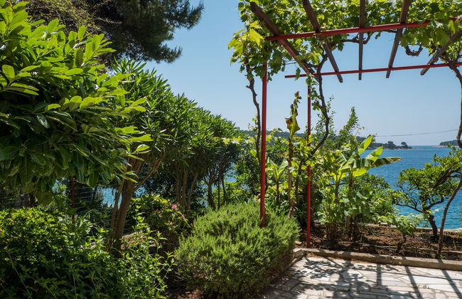 An Apartment Kamelia - Foto 10