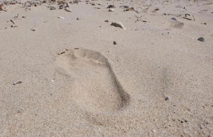 Agriturismo Corte Degli Ulivi - Foto 104