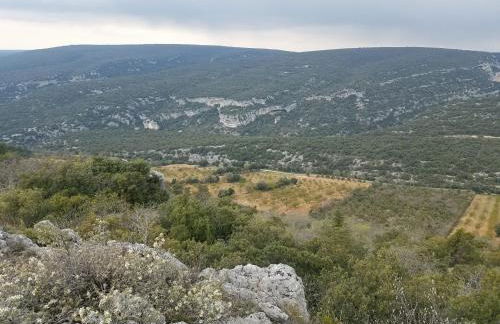 Luberon - Mas du Grand Saint Julien - Foto 25