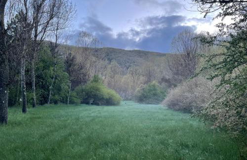 La nueva Escuela - Foto 17