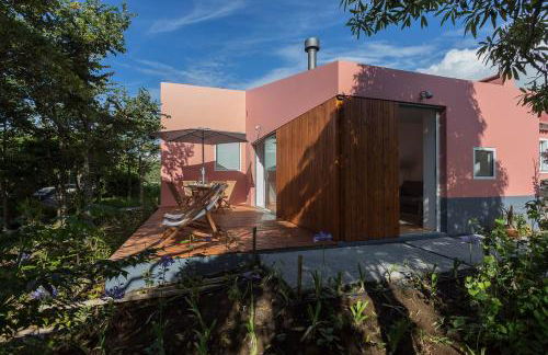 Quinta dos Peixes Falantes - Photo 58