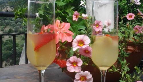 The Bergamot - Foto 3