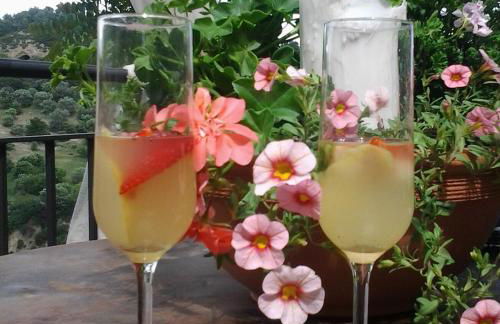 The Bergamot - Foto 3