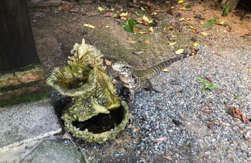 Recanto Praia do Forte - SC - Foto 42