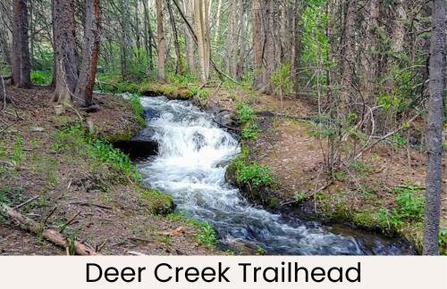 Timeless Pineview Cottage Hot Tub & Pet Friendly - Photo 48