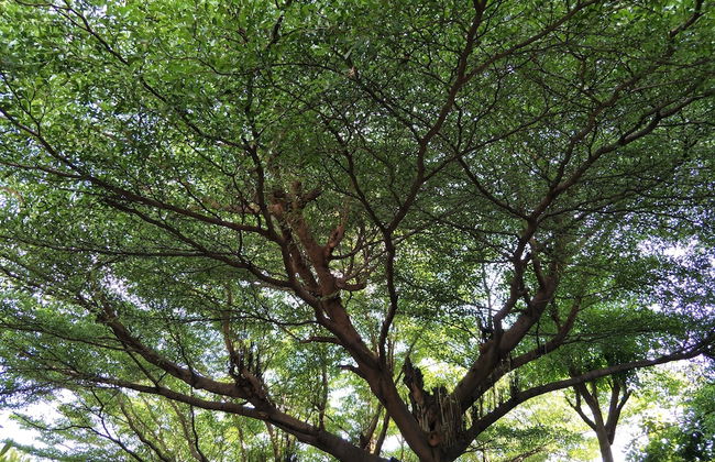 Sandy Serviced Apartment - Foto 46