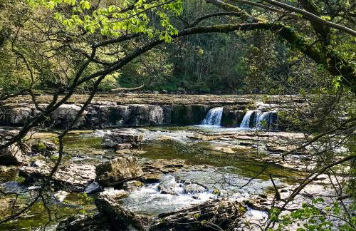 The Owlery At Aysgarth - Foto 17