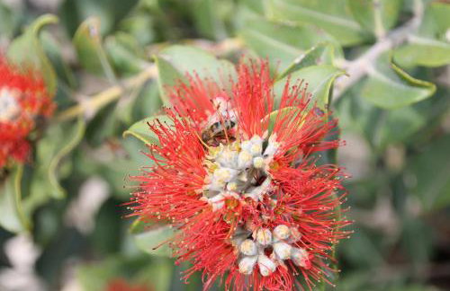 Villa Pantelis - Foto 40