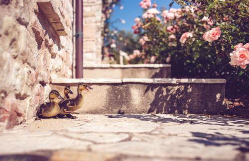 Agriturismo Casal San Sergio - Photo 71