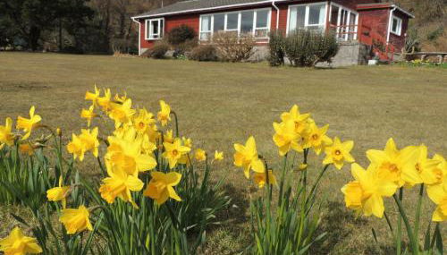 Atlantic Bay Cottage - Photo 3, Garden view