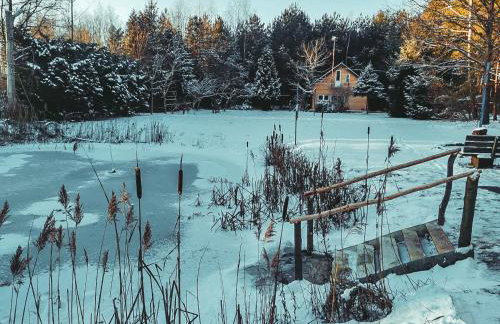 Domek w lesie nad stawem Sauna Balia Podlasie - Foto 14