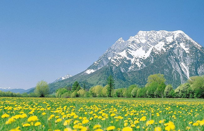 Superior 2 Schlafzimmer&Saunabereich - Photo 34