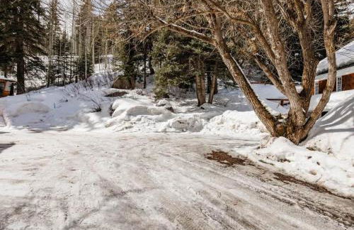 Cabin-Style Ski Home in Minturn with Private Deck - Foto 25