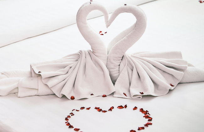 Estrela Antônia - Foto 2