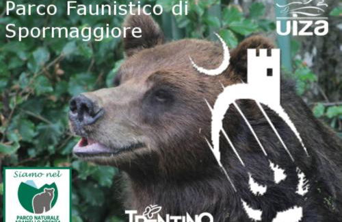 Casa Dalsass - Photo 38