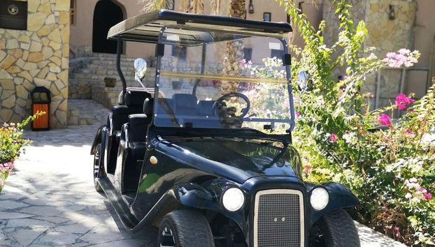 Buggy vintage para la actividad