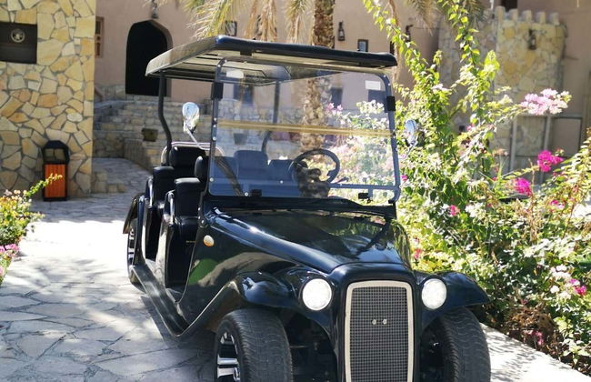 Tour en buggy vintage por Al Aqr - Foto 4