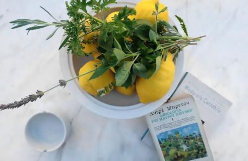 Anticlea I - Foto 36