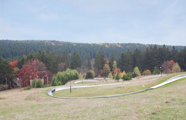 Family-friendly Forest Home - Foto 23