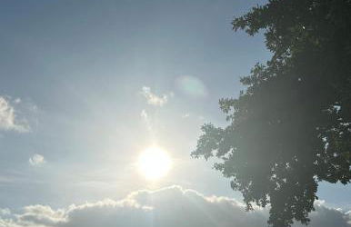 Großzügiges Landhaus mit Pool & Kamin - ideal zwischen Leipzig und Dresden - Spacious Country House with Pool near Leipzig & Dresden - Foto 31