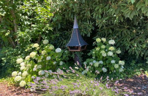 Les Rives des Habsbourg - Foto 21