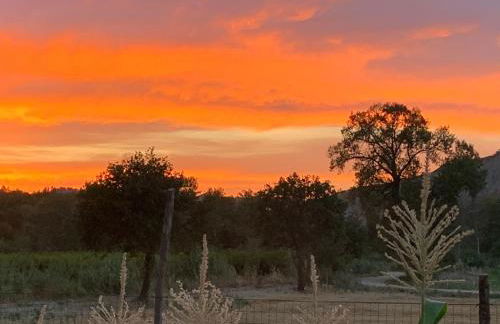 Campagna D'aMare - Foto 25