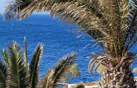 Akrogiali studios - Photo 31