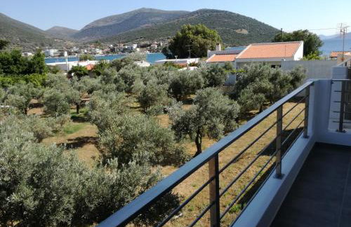 Almira Ghouse - Foto 23