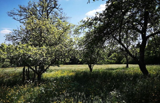 Ferienwohnung Marianne in Neuweiler - Foto 32