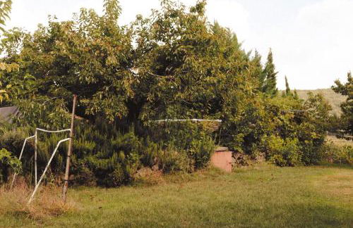 Mirador Los Cotos - Foto 6