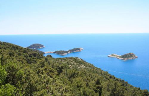 LILY's Peaceful Oasis- BRAND NEW - Foto 35