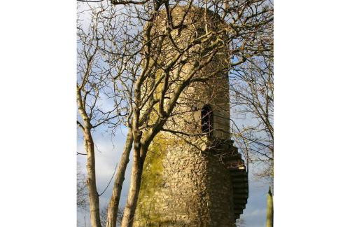 Am Turm Modern retreat - Foto 28