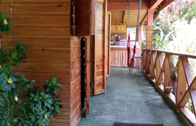 Berkey's Jungle Paradise - Photo 24