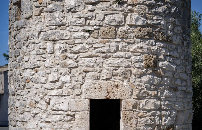 Masseria Montepaolo - Foto 24