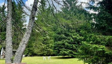 Mono Fiorrancino - Foto 3, Garden, Garden view