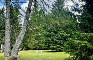 Mono Fiorrancino - Foto 3