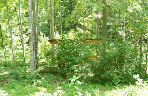Cabin in the Woods-Peaceful 1BR 20-Acre Rural Retreat-HotTub&WiFi near Asheville - Foto 7