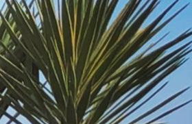 Villa Francesca - Manfredi Homes&Villas - Foto 60