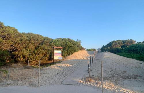 La Pavoncella - Foto 44