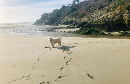 Villa Tidinghi, plage de Rospico à pied - Photo 62