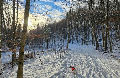 Ferienwohnung am Eichberg - Photo 6