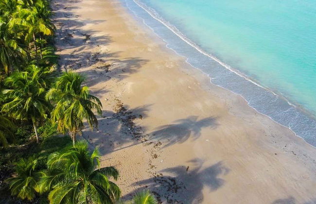 Excursión a la playa de Ipioca - Foto 1
