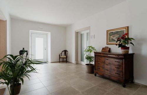 Corte Recamao - Foto 49