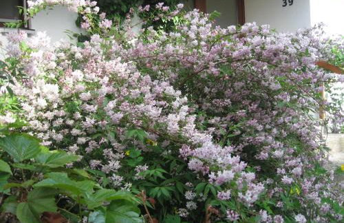 Komfortabel wohnen am Waldrand von Pitzling - Foto 18